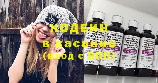 сатива Лабытнанги