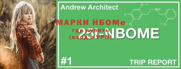 амф Кулебаки