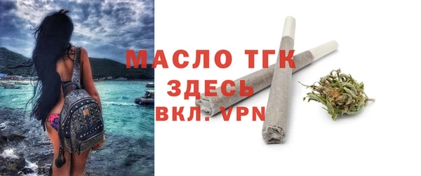 твердый Лагань