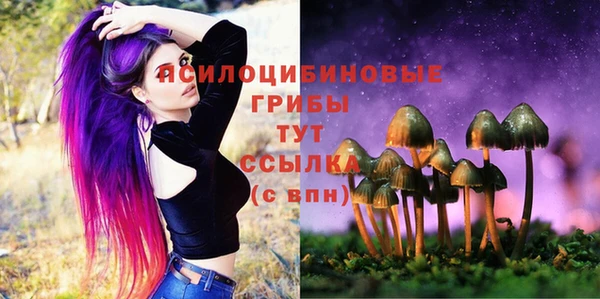 спайс Кукмор