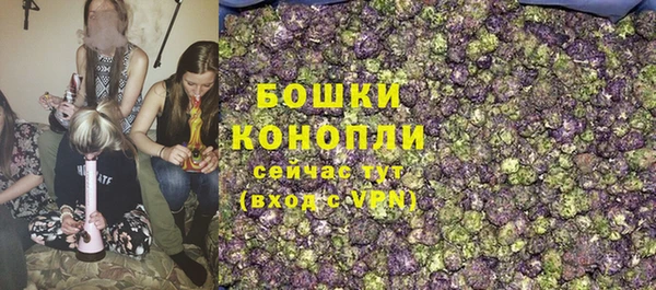 сатива Лабытнанги